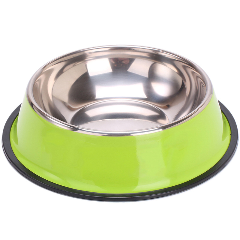 Stainless Steel Dog Bowl with a Non-Slip Base: Paint Green