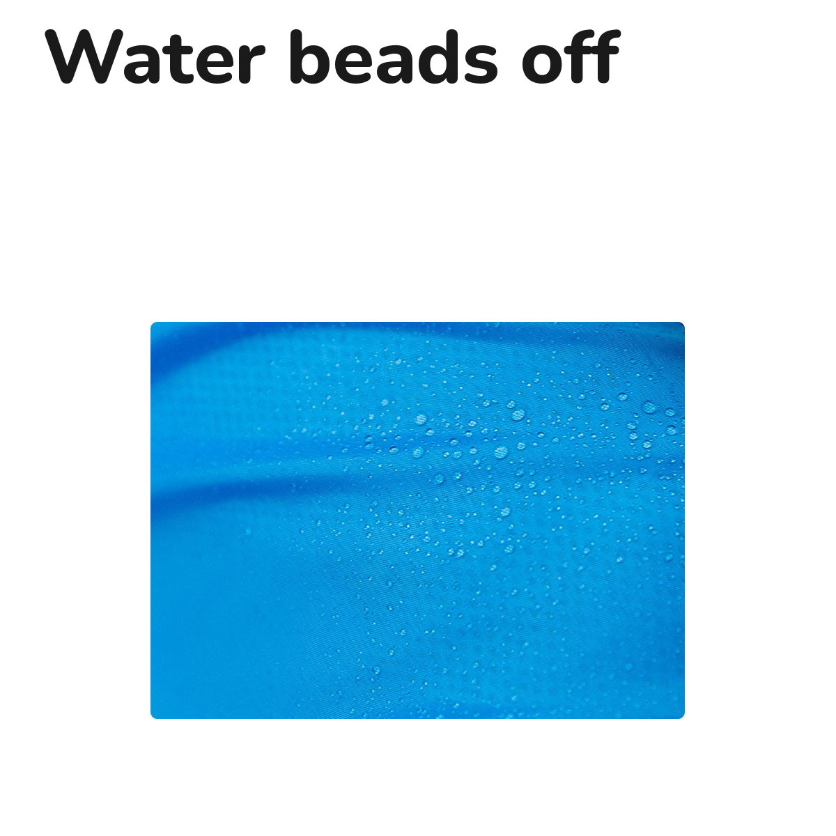 Big Dog Raincoat: water beading on the fabric