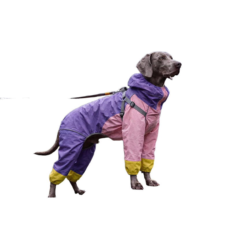 Big Dog Raincoat: Purple