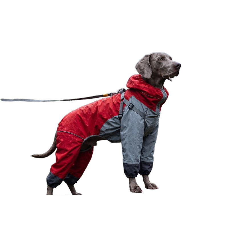 Big Dog Raincoat: Red