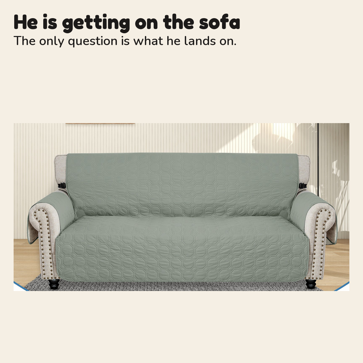 Sage green quilted sofa cover on a three-seat sofa; he is getting on the sofa, the only question is what he lands on