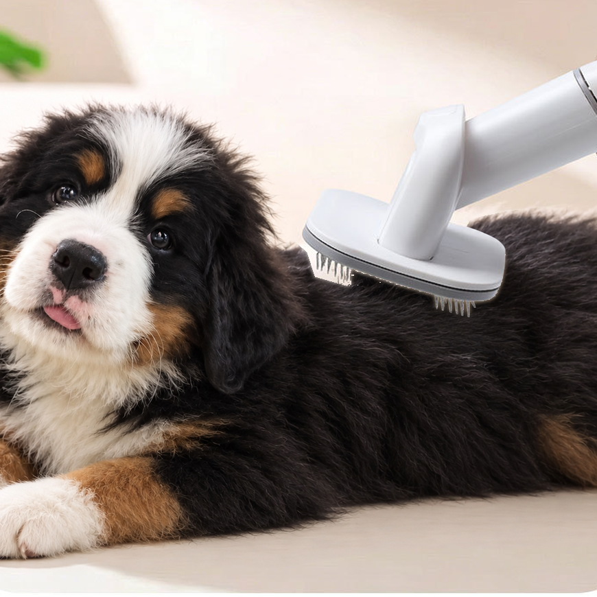 Dog grooming vacuum brush head held over a Bernese mountain dog puppy lying on a rug