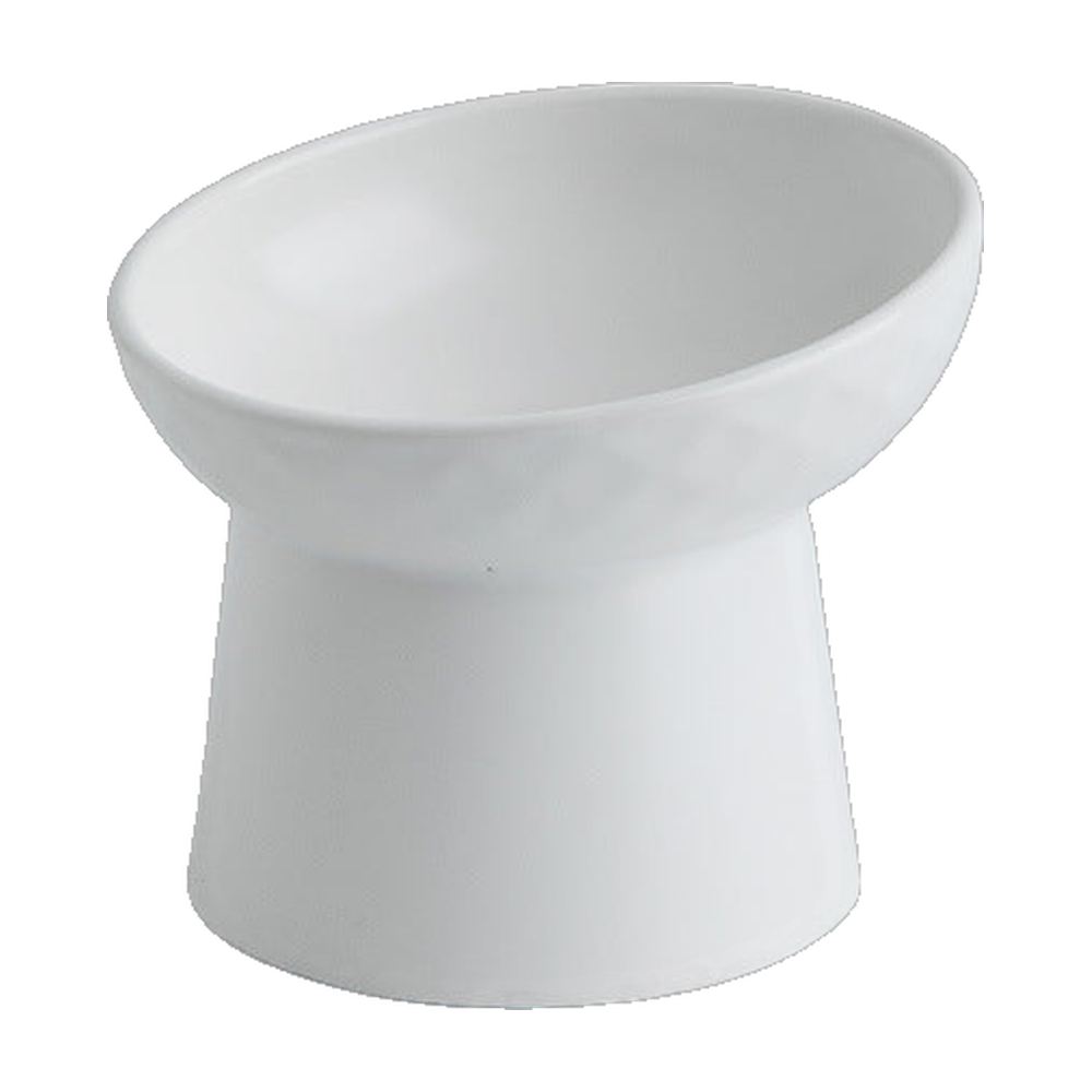 White tilted raised ceramic pet bowl, white background