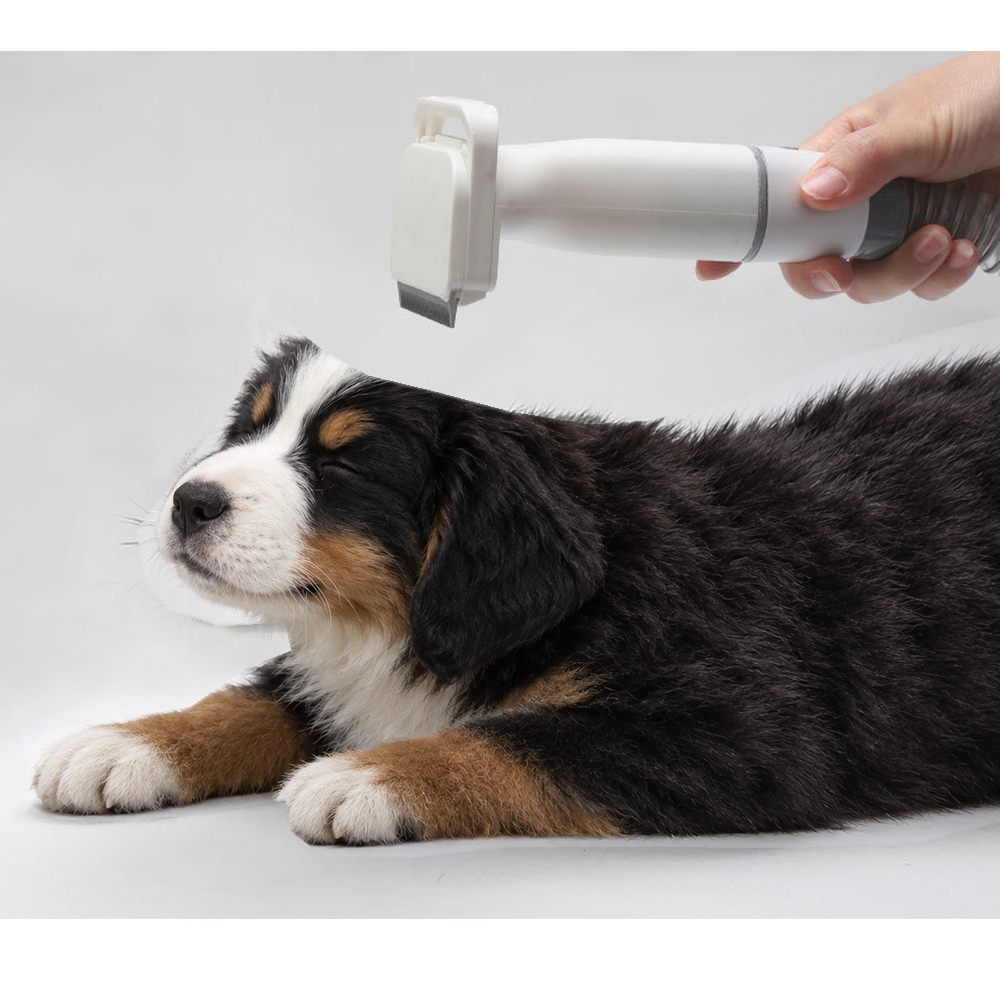 Hand holding the deshedding attachment of the dog grooming vacuum above a Bernese mountain dog puppy lying down