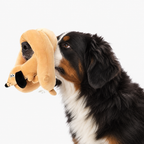 Long plush dog toy looped over the nose of a Bernese mountain dog