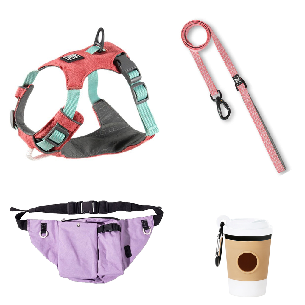 One possible set: red lightweight harness, red flat leash, Taro purple waist bag and White coffee-cup holder.