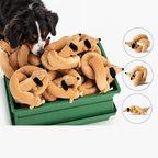 Bernese mountain dog sniffing a green crate full of long plush dog toys, with three toys bent into different shapes