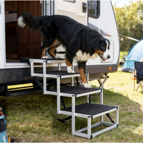 Bernese mountain dog stepping down 4-step folding aluminum dog stairs from a camper van onto grass