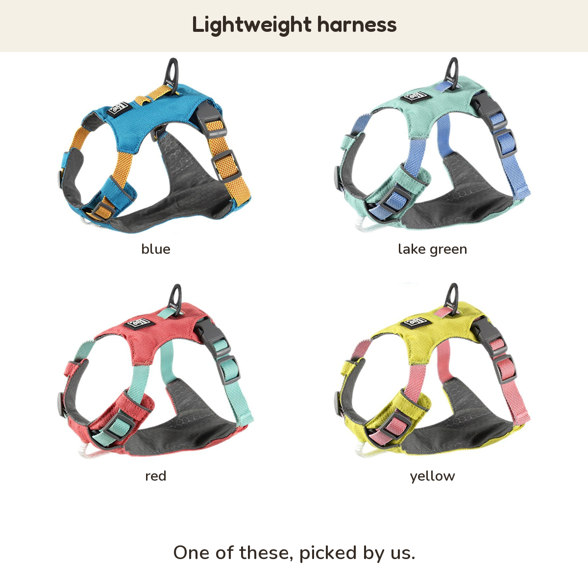 Lightweight harness: blue, lake green, red, yellow