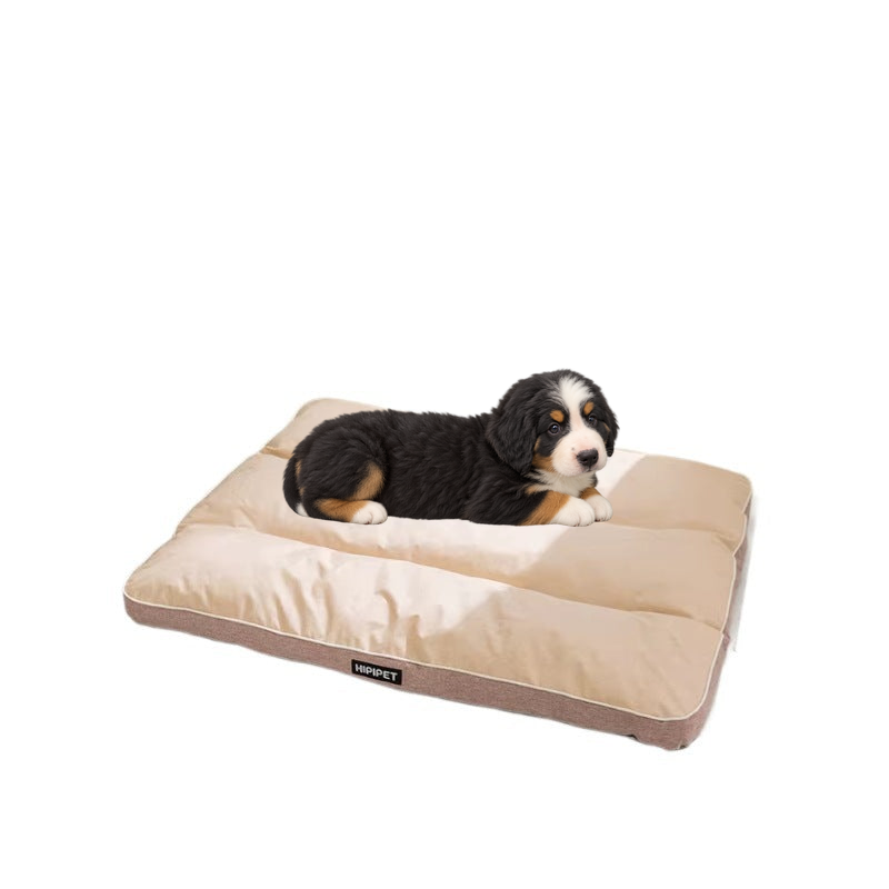 Bernese mountain dog puppy lying on the beige waterproof dog mattress