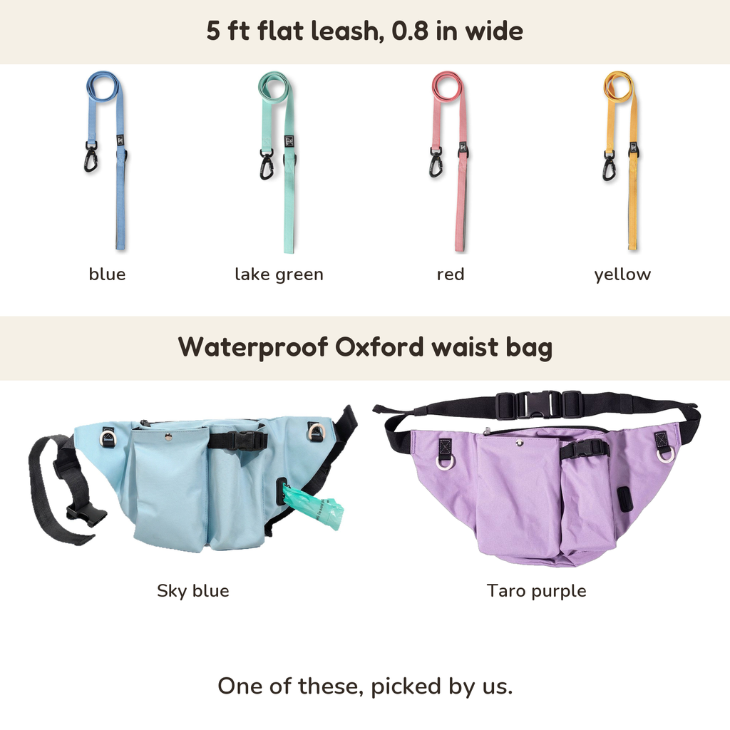 5 ft flat leash, 0.8 in wide: blue, lake green, red, yellow; Waterproof Oxford waist bag: Sky blue, Taro purple