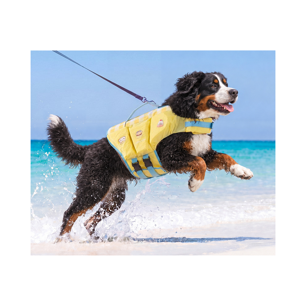 Bernese mountain dog running through shallow water in the yellow dog life jacket