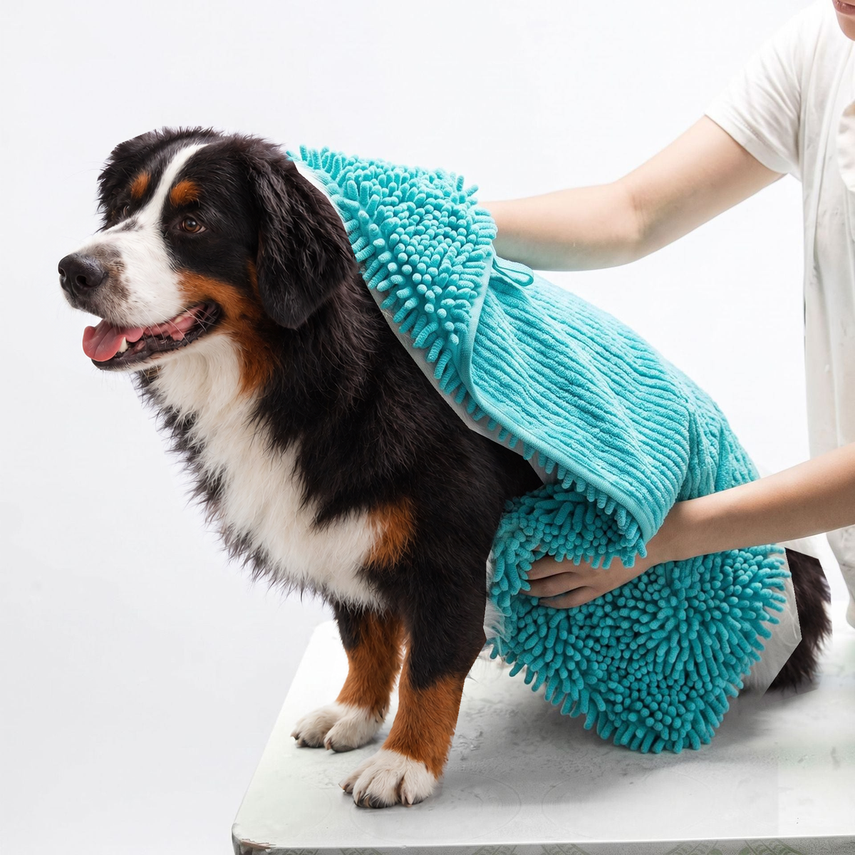 Teal chenille drying towel with hand pockets wrapped around a Bernese mountain dog