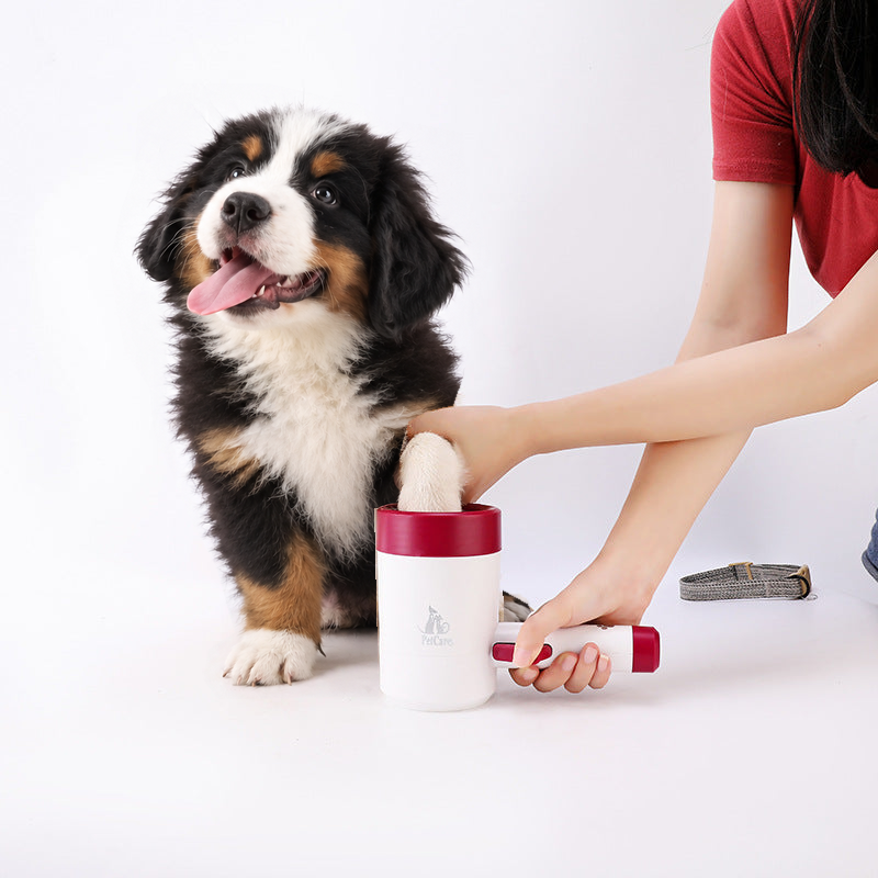 Bernese mountain dog puppy sitting while its front paw is cleaned in the white and red paw washer cup