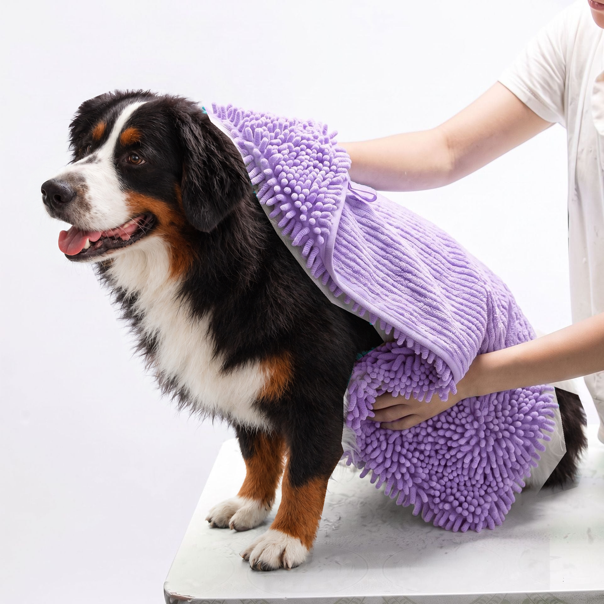 Purple chenille drying towel with hand pockets wrapped around a Bernese mountain dog