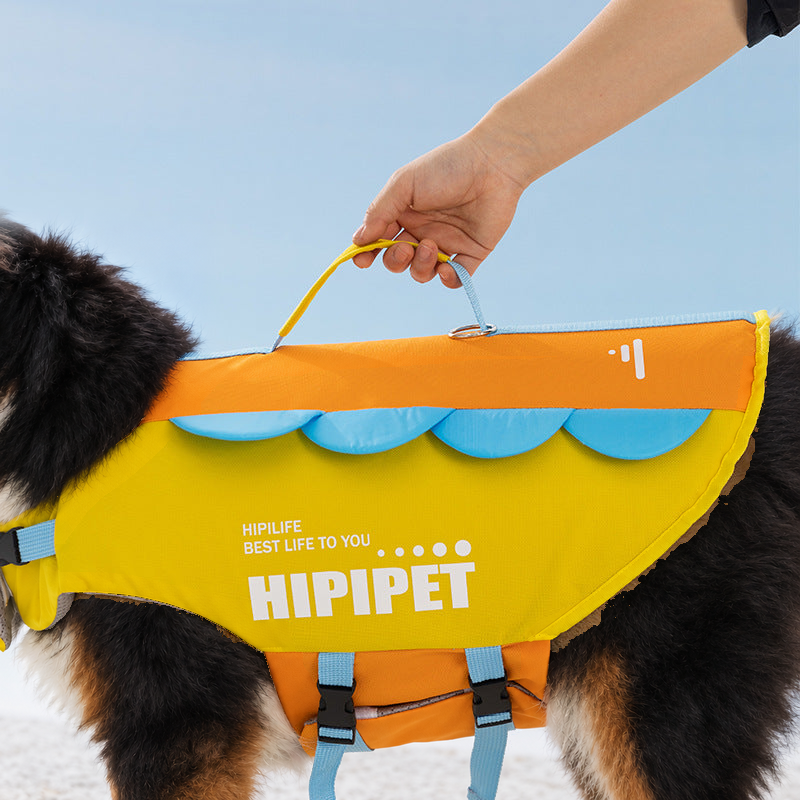 Hand lifting a Bernese mountain dog by the rescue handle on top of the yellow and orange dog life jacket