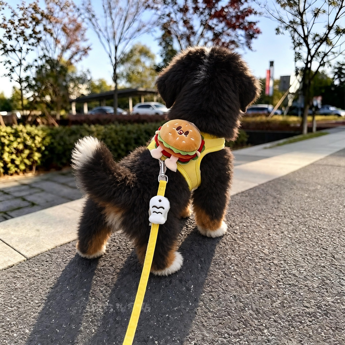 Bernese mountain dog puppy on a pavement seen from behind in the yellow burger-motif harness with matching lead