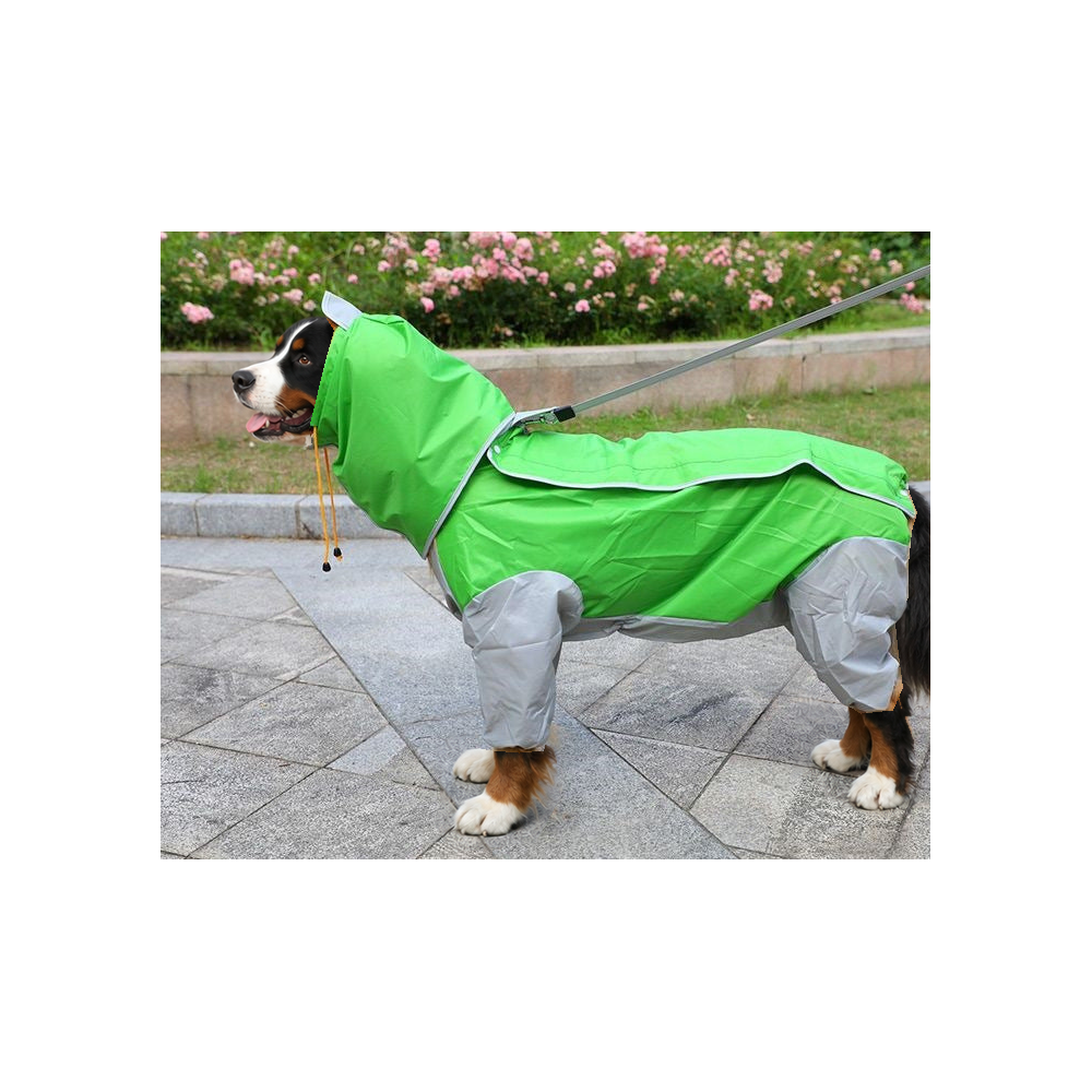 Bernese mountain dog standing by a flower bed in the green and grey four-leg dog raincoat with belly cover