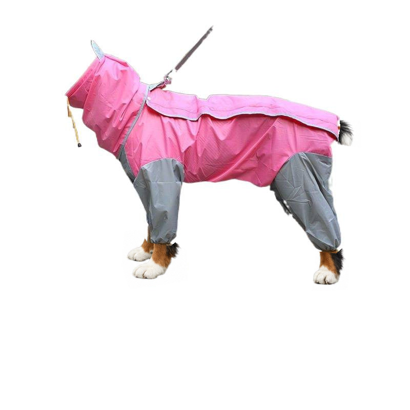 Bernese mountain dog wearing the pink and grey four-leg dog raincoat with belly cover, hood up, side view, white background