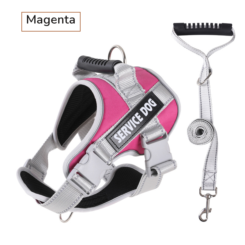 Magenta padded harness with a top handle, shown with its grey matching leash on white