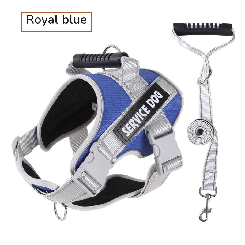 Royal blue padded harness with a top handle, shown with its grey matching leash on white