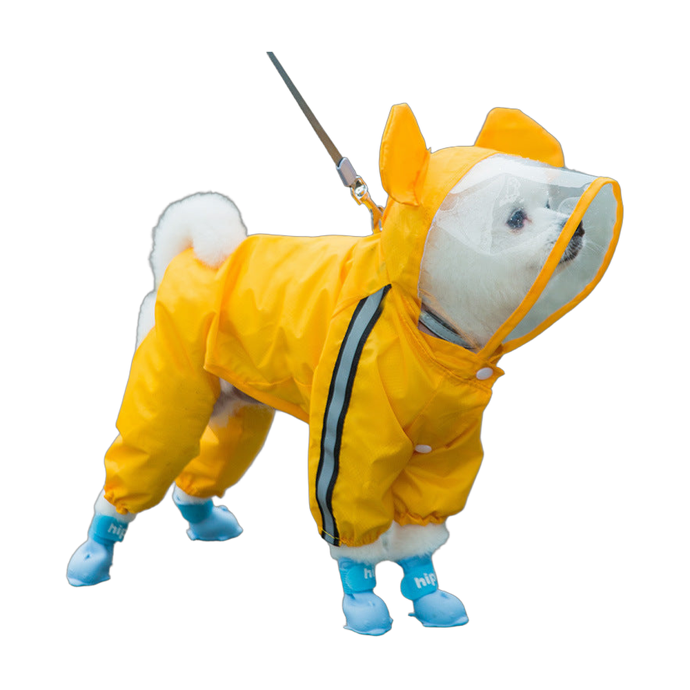 Dog Raincoat: Yellow bear