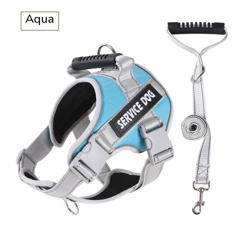 Aqua padded harness with a top handle, shown with its grey matching leash on white