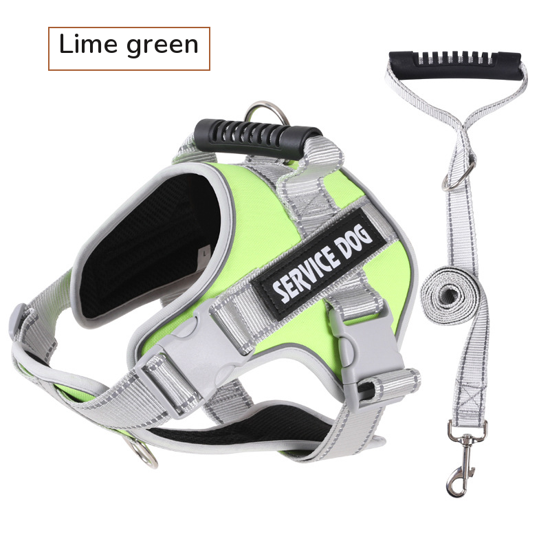 Lime green padded harness with a top handle, shown with its grey matching leash on white