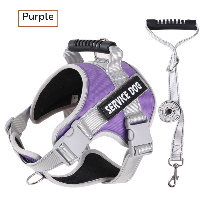 Purple padded harness with a top handle, shown with its grey matching leash on white