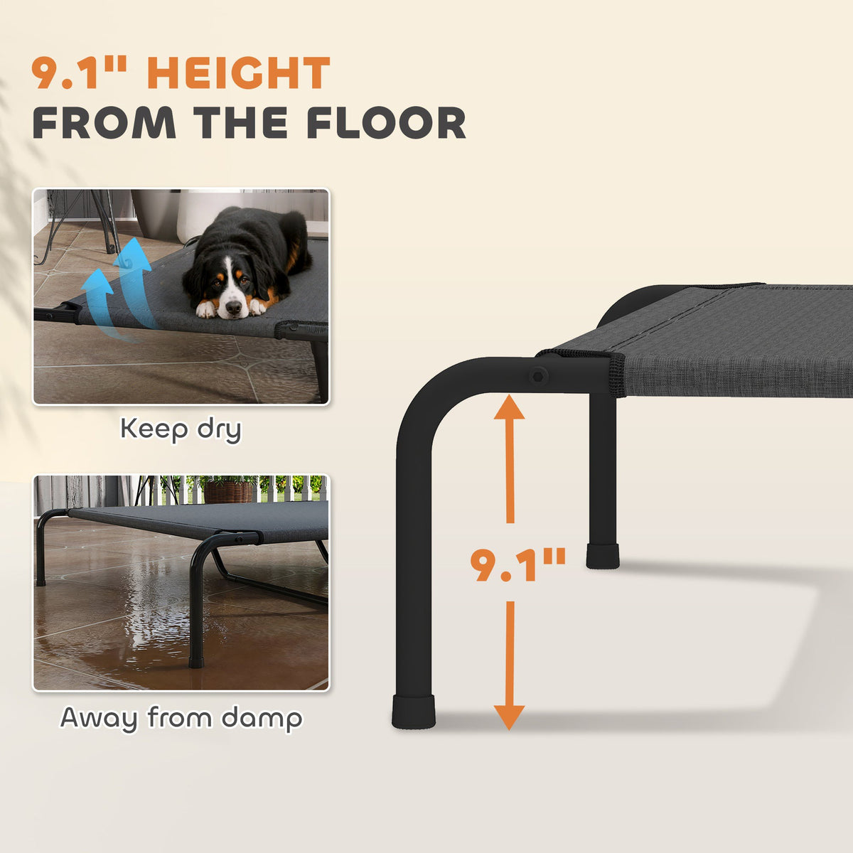Elevated dog cot legs hold the bed 9.1 in off the floor; Bernese mountain dog resting on it