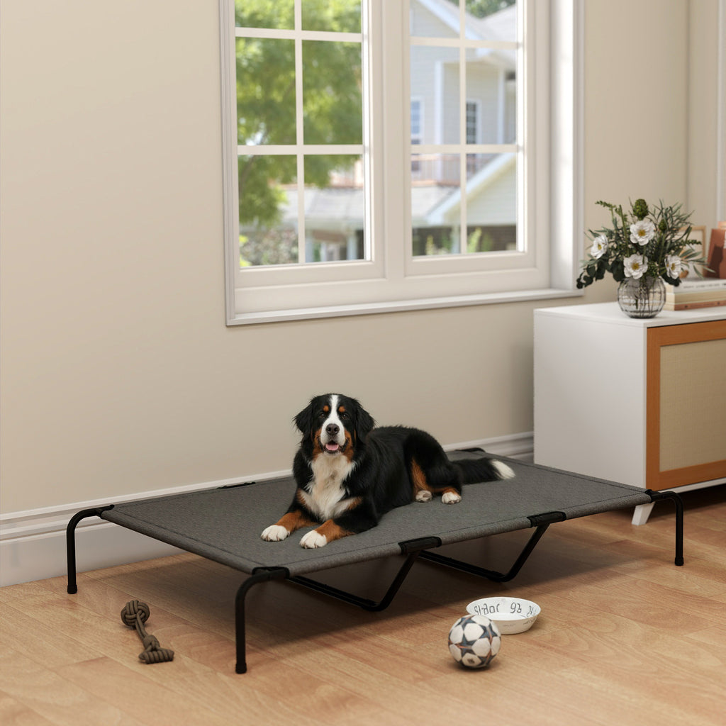 Bernese mountain dog lying on a gray elevated dog cot on a wood floor indoors
