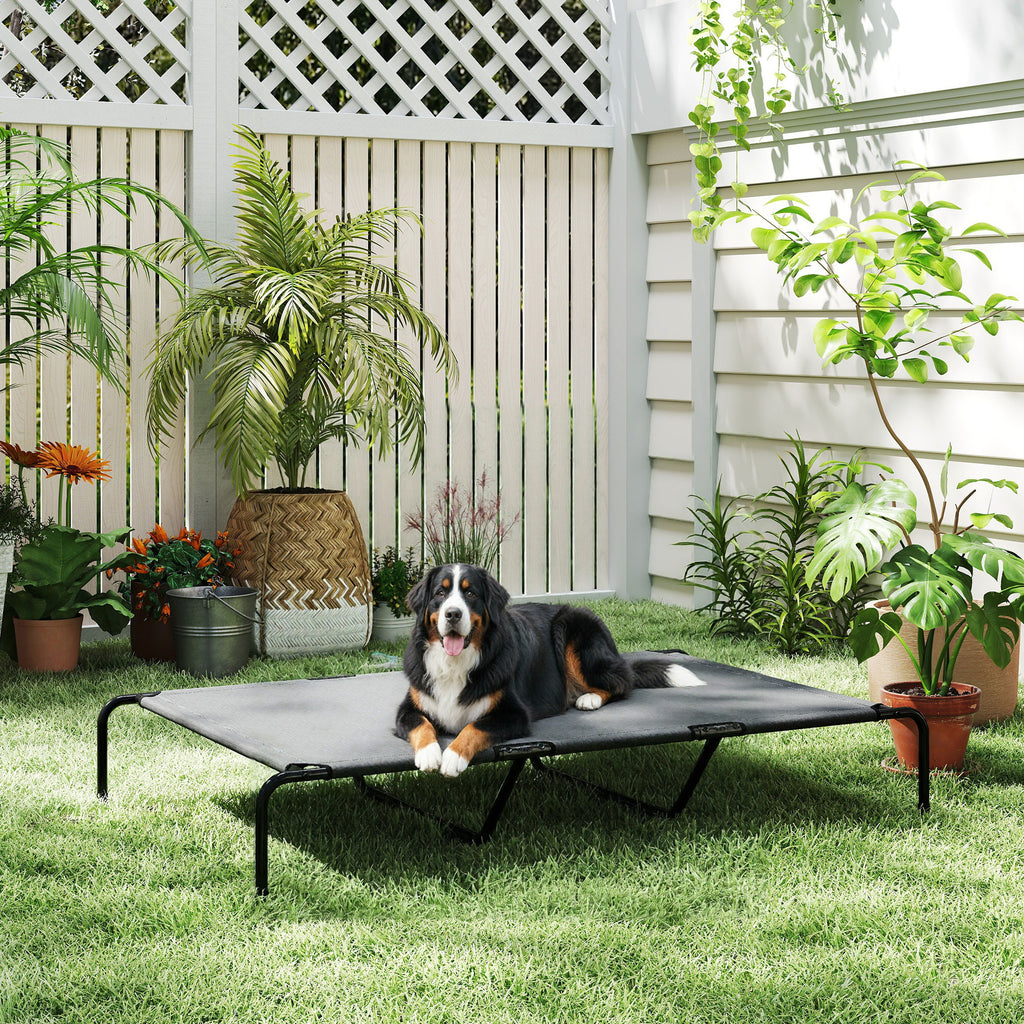 Bernese mountain dog lying on a gray elevated dog cot on a backyard lawn