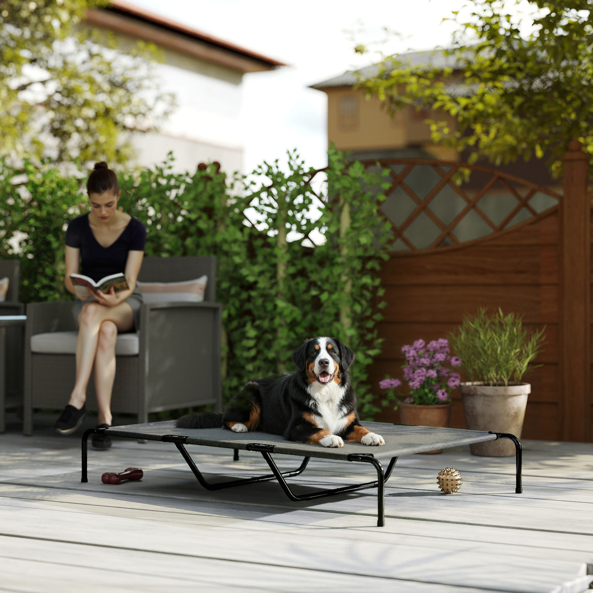 Bernese mountain dog lying on a gray elevated dog cot on a patio deck