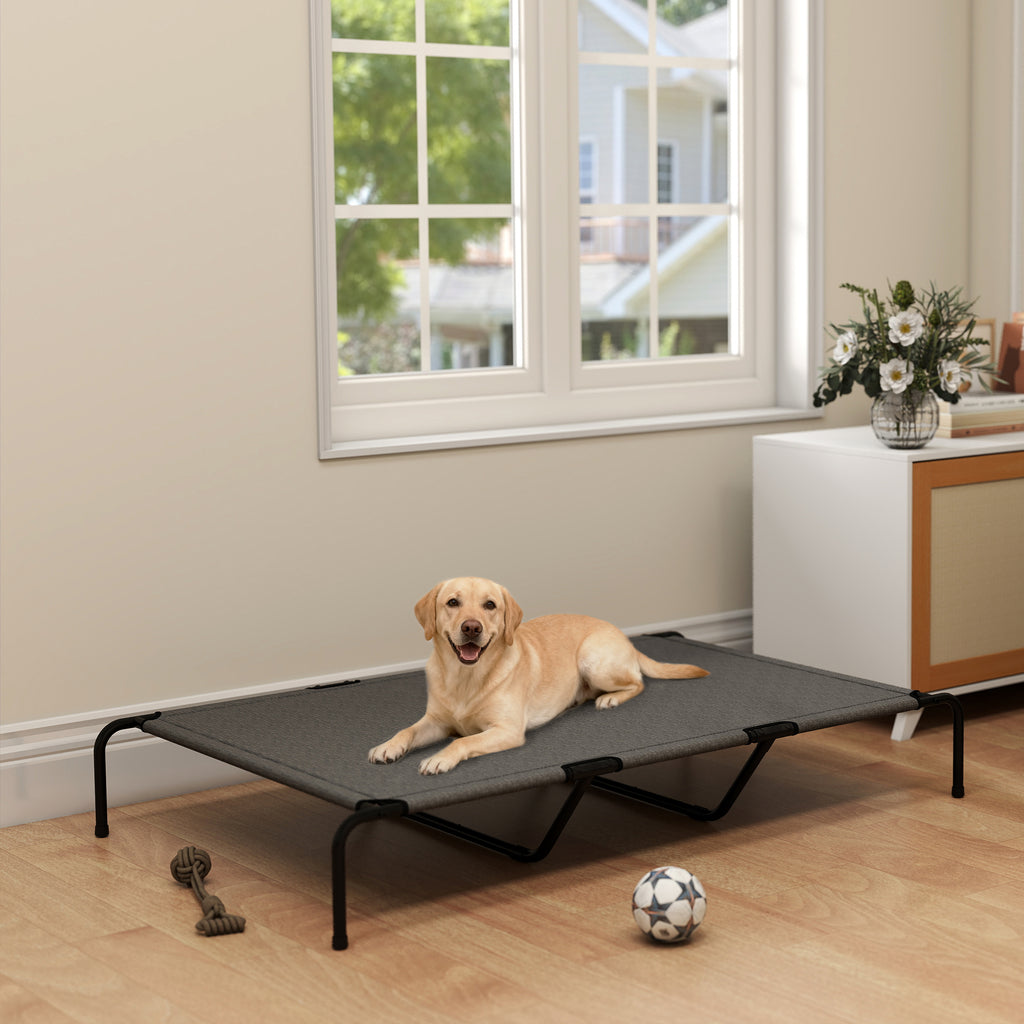 Elevated dog cot indoors on a wood floor with a Labrador on it