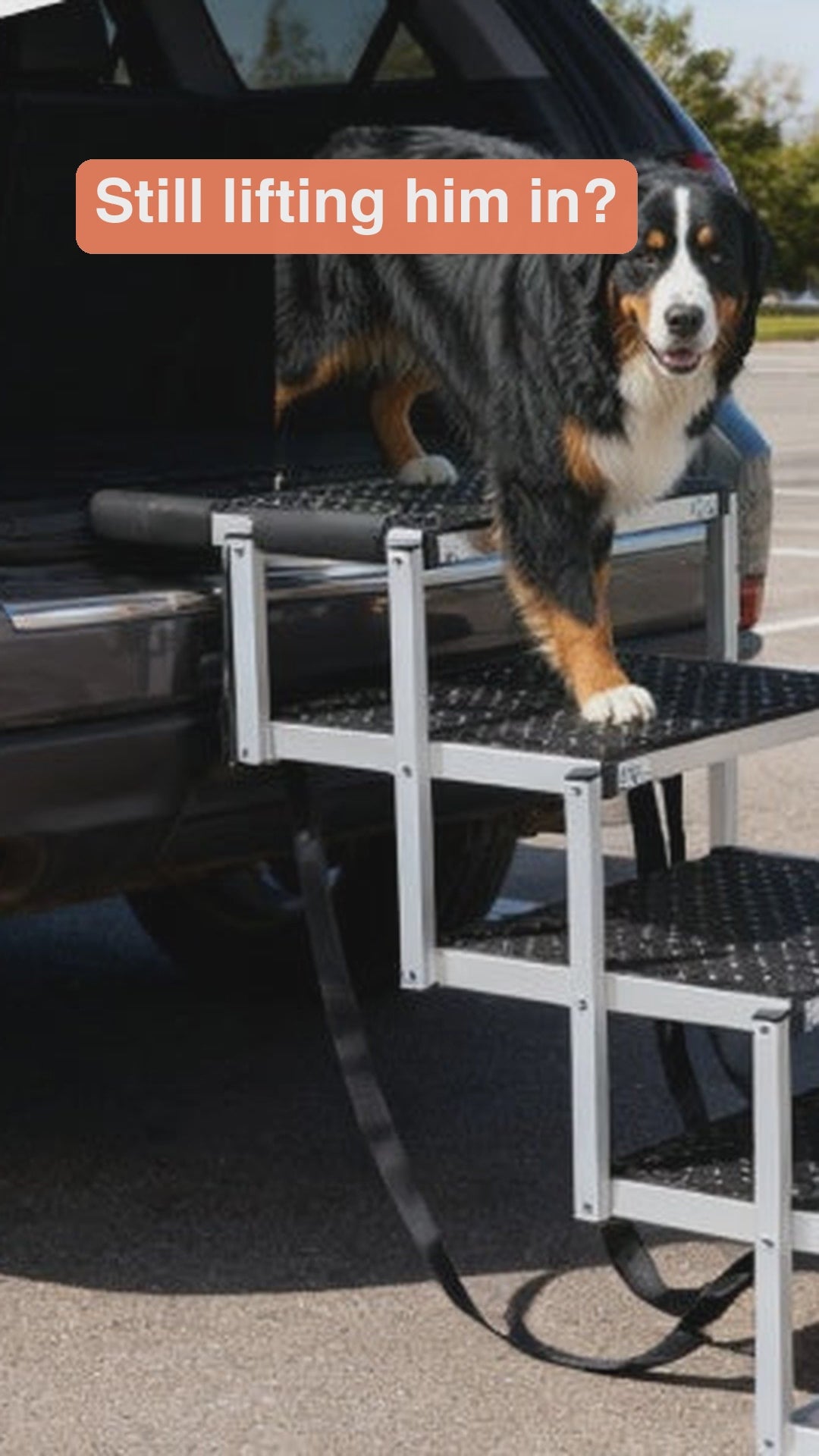 Folding dog stairs video: 4 wide non-slip steps, 250 lb, sets to 23 or 26 in, folds to 16.5 × 13 × 5.5 in (edited video)