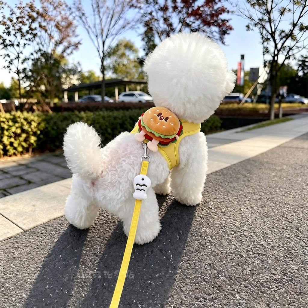 Small white dog on a pavement wearing the yellow burger-motif harness with the matching lead